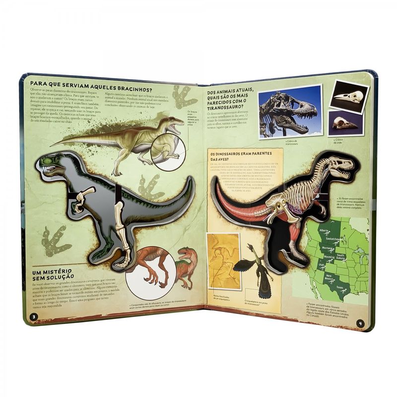 de-dentro-para-fora-tiranossauro-rex-b98de188cfdfb66a7bf3b3ea24280955