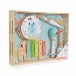1704390800caixa_musical_animais_da_tooky_toy_brinquedo_de_madeira_com_xilofone_flauta_pandeiro_e_maraca_em_ban1