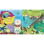 livro-as-casas-dos-animais-abra-e-descubra-9781474961363-3