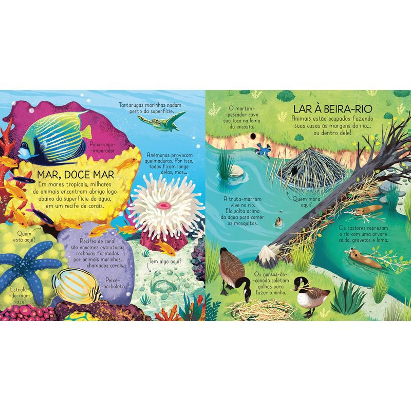 livro-as-casas-dos-animais-abra-e-descubra-9781474961363-3