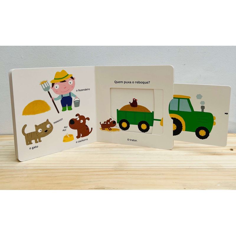 Colecao-Pequenos-Curiosos-9789876375351-4