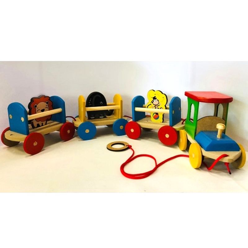 Brinquedo-Trem-do-Zoologico-9690001485213-2