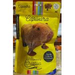 Livro-kit-de-Artesanato-Criativo-Capivara-9788537659243-1.jpg
