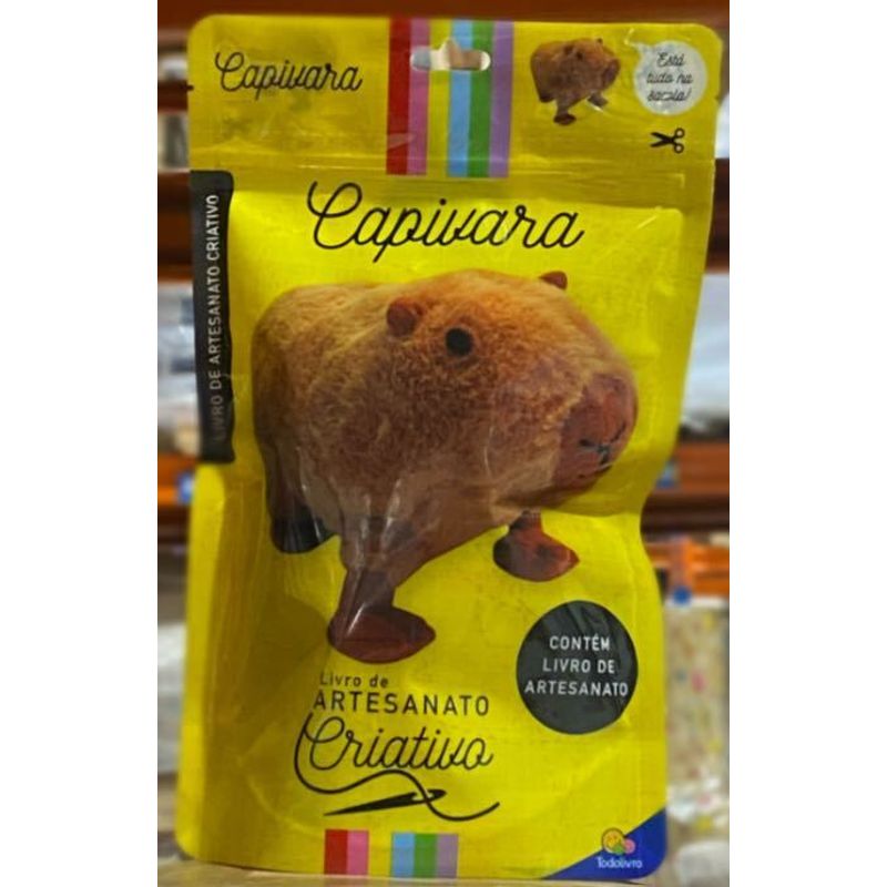 Livro-kit-de-Artesanato-Criativo-Capivara-9788537659243-1.jpg