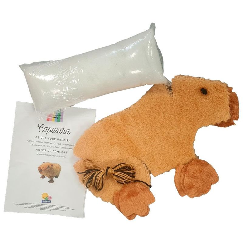 Livro-kit-de-Artesanato-Criativo-Capivara-9788537659243-4.jpg